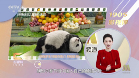 婷婷丁香四月